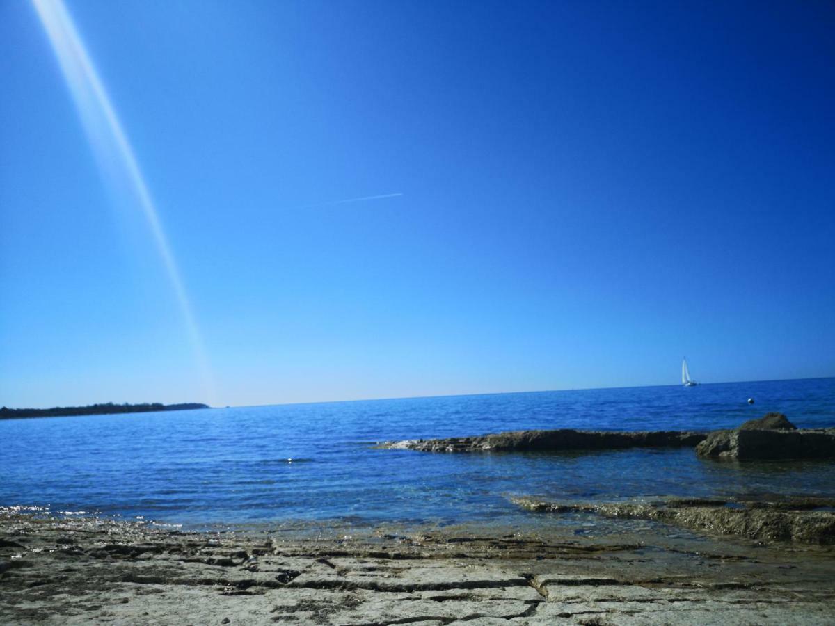 West Coast Mobilhome With Xxl Terrace In Naturist Resort Solaris Fkk Tar-Vabriga Bagian luar foto
